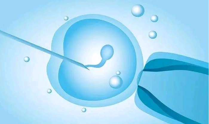 沈阳科学代生小孩-试管代怀孕