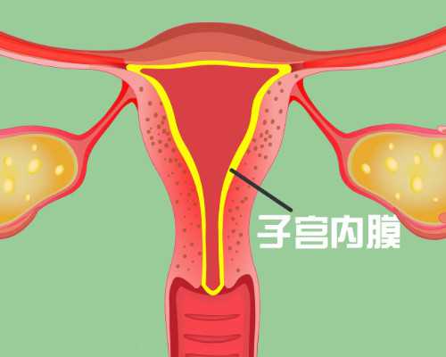 广州供精试管要不要排队,2023广州供精试管成功率最高排名_供卵代孕套餐