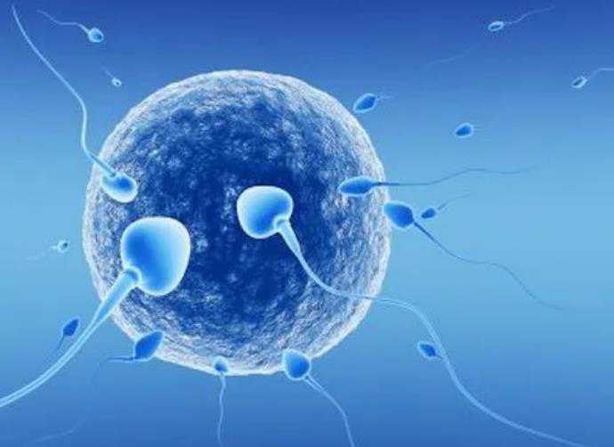 广州代孕助孕在线咨询|重庆助孕机构试管婴儿卵泡大小不一怎么办？