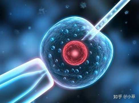 广州中山医院生殖中心做试管婴儿双胞胎费用是